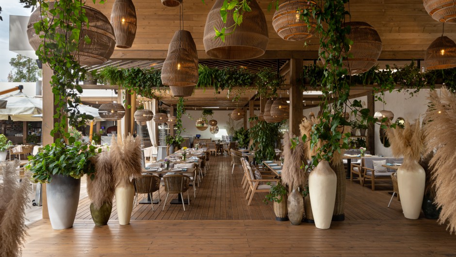 Design of the restaurant Harvest Restaurant