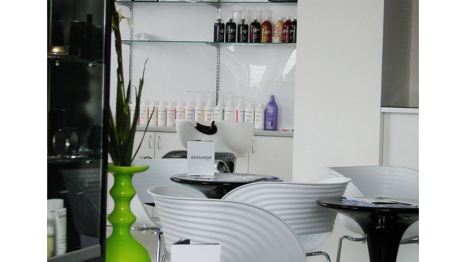 Design of the restaurant Beauty Salon Frederic Moreno, Mishugi Street, 8